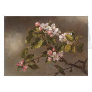 Colibri et fleurs d'Apple