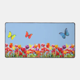Colibri et papillons colorés
