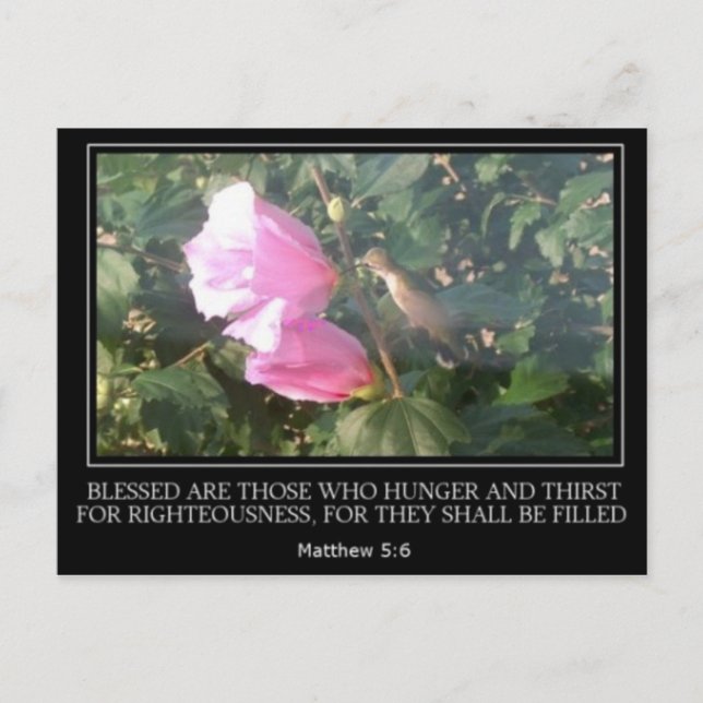Colibri et Rose de la carte postale des Écritures  (Devant)