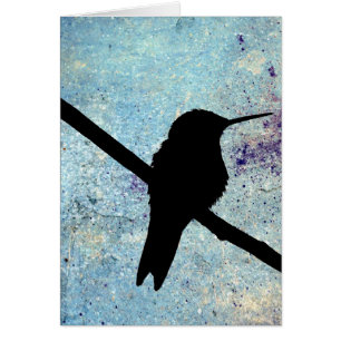 Colibri, joyeux anniversaire