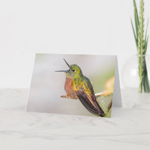 Colibri parlant la carte de voeux vierge