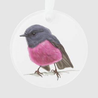 Colibri rose