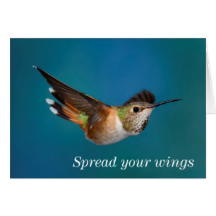 Colibri roux