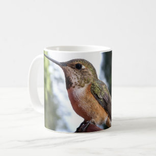 Colibri roux femelle - Mugs