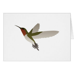 Colibri Ruby Throsé