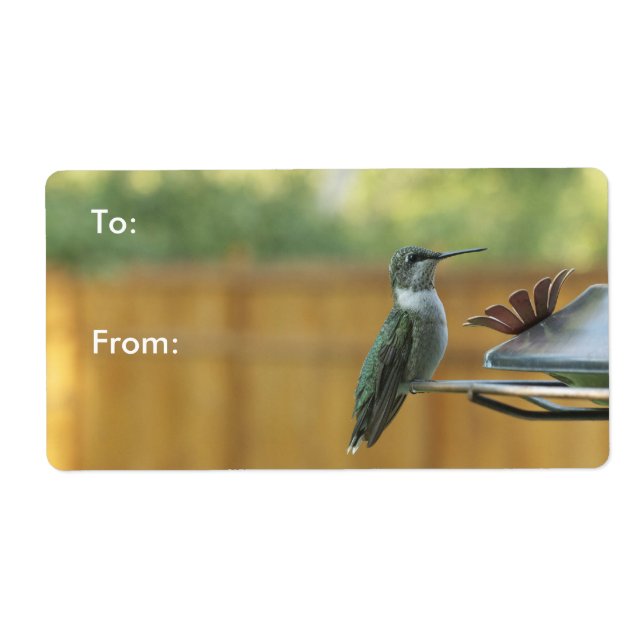 Colibri Ruby Throsé (Devant)