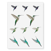 Colibri Temporaire
