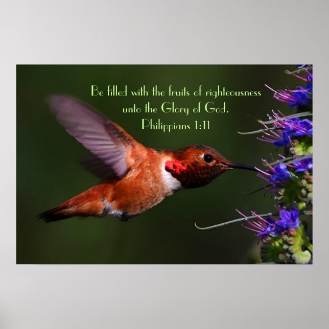 Colibri vers de la bible Philippians 1:11 Poster (Devant)