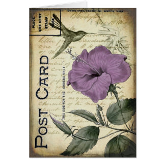 Colibri vintage de ketmie