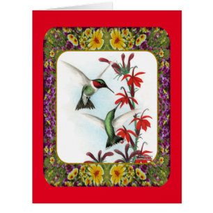 Colibris et fleurs #5
