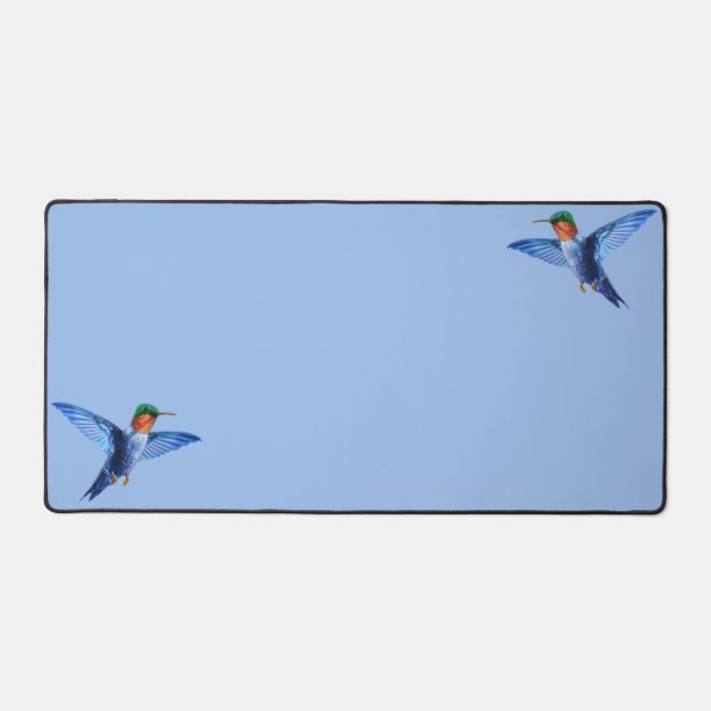 Colibris sur fond bleu clair (Recto)