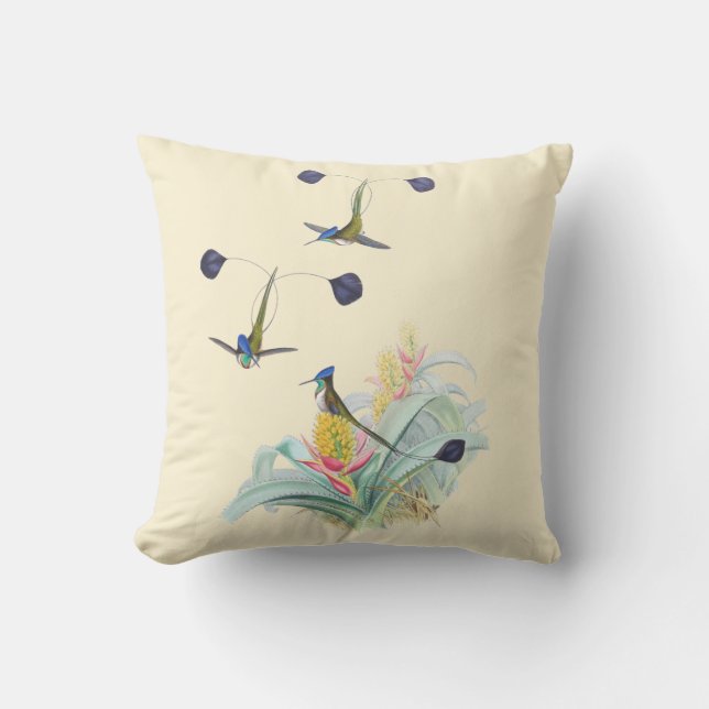 Colibris sur le coussin extérieur 16x16 de (Recto)