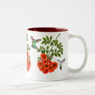 Colibris Throated rouges sur la tasse de plante