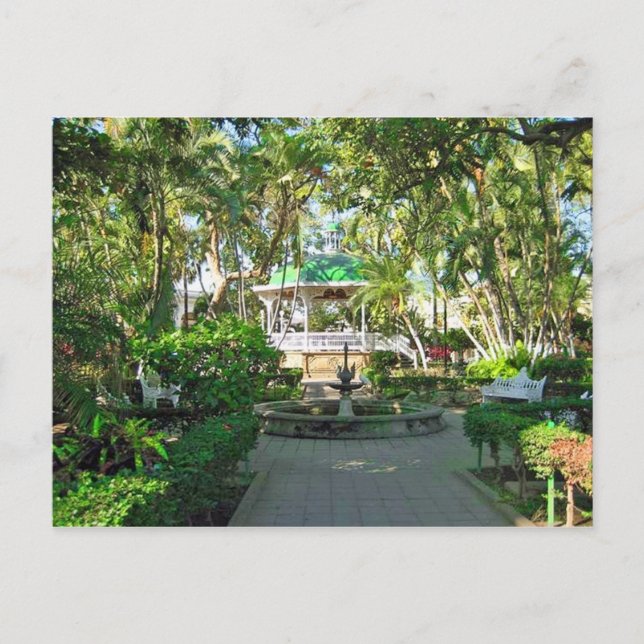 Colima, Colima, Mexico Postcard (Front)