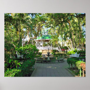 Colima, Mexique Poster 14"x11"