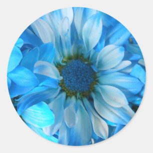 Collaert Classic Round Sticker