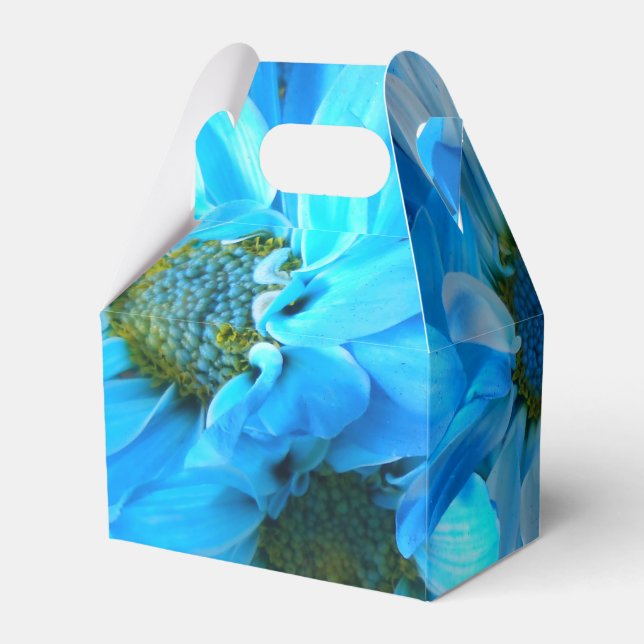 Collaert Favor Box (Back Side)