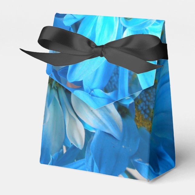 Collaert Favor Box (Front Side)