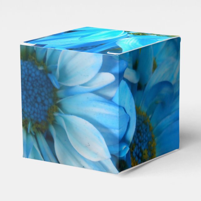Collaert Favor Box (Front Side)
