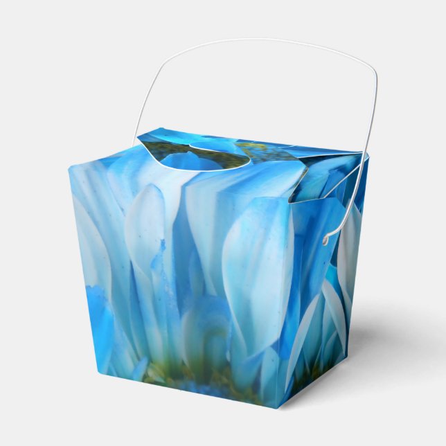Collaert Favor Box (Front Side)