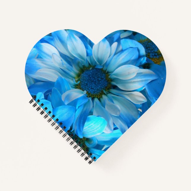 Collaert Notebook (Front)