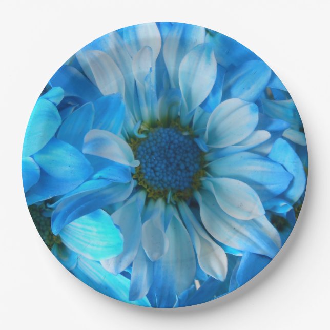 Collaert Paper Plate (Front)