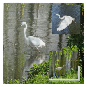 Collage de carreau de céramique d'aigrette