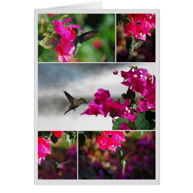 Collage de colibris à gorge verte (Devant)