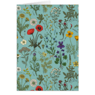Collage de fleurs sauvages sur fond bleu