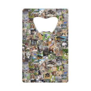 Collage de photos de chiens,