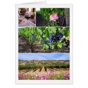 Collage de vignoble de la Californie