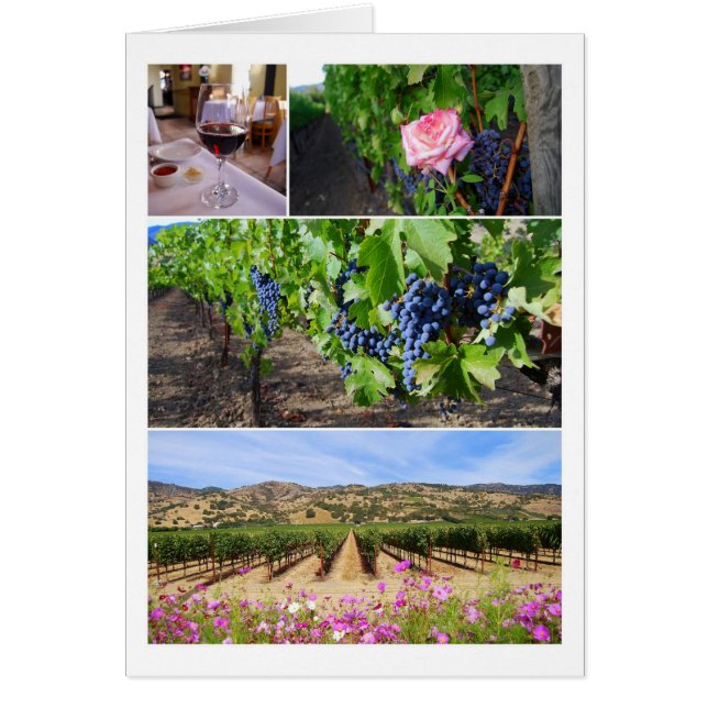 Collage de vignoble de la Californie (Devant)