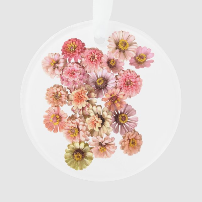 Collage de Zinnia (devant)