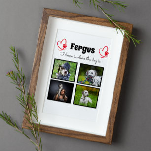  Collage - dog photo customized memory Plaque