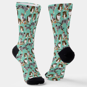 Collage of Autralian Shepherds Aussie Dogs Socks