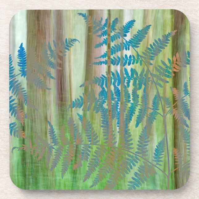 Collage of Bracken Ferns and Forest | Seabeck, WA Coaster (Front)