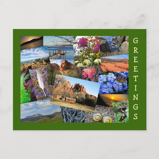 Collage of Nature & Wildlife Postcard (Front)