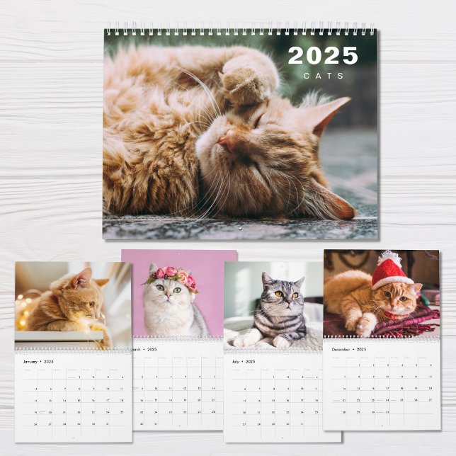 Collage photo de chats Calendrier moderne 2025 (Créateur téléchargé)