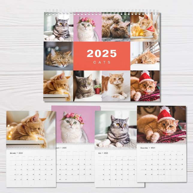 Collage photo de chats Calendrier moderne 2025 (Créateur téléchargé)