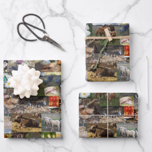Collage photo de la ferme, Feuilles d'enveloppemen
