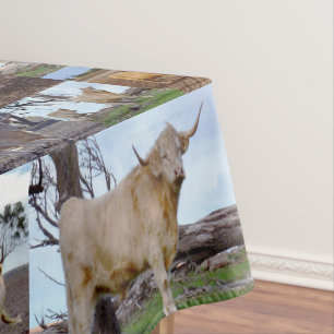 Collage photo de la vache Highland, nappe