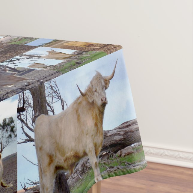 Collage photo de la vache Highland, nappe (In Situ)
