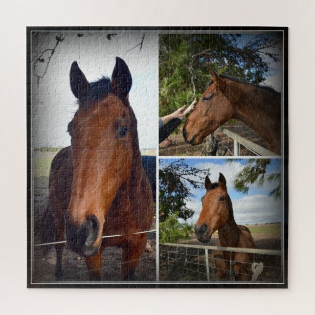 Collage photo du cheval Brown, Puzzle de Jigsaw (Vertical)