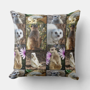 Collage Photo Meerkat, Gros Coussin À Throw.