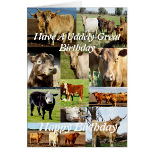 Collage Photo Vache, Personnes Âgées Grand Anniver