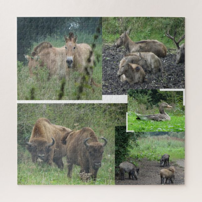 Collage Puzzle: Nature Park Lelystad ANIMALS Jigsaw Puzzle (Vertical)