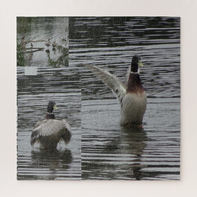 Collage Puzzle: Nature Park Lelystad DUCK Jigsaw Puzzle (Vertical)