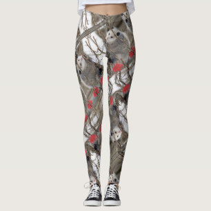 Collants de la nature de l'opossum