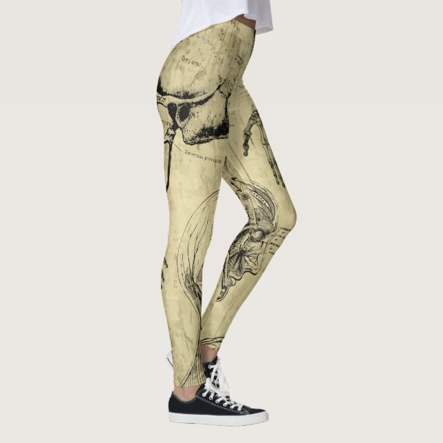 Collants imprimés d'anatomie (Droite)