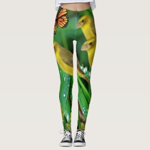 collants papillons